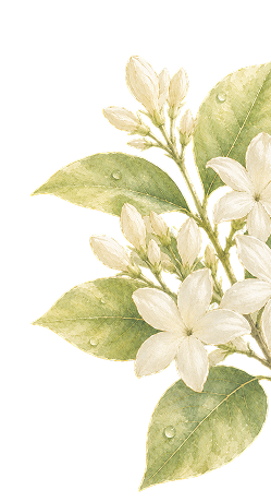section-4-flower